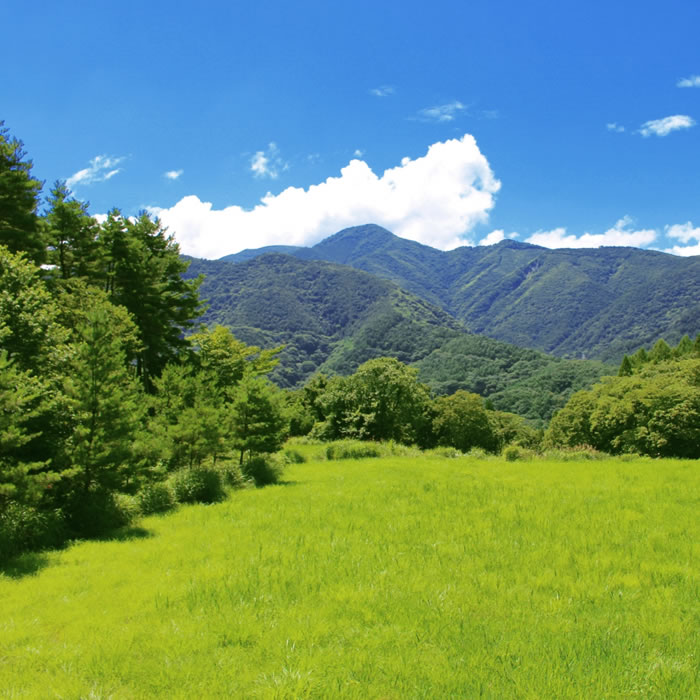 土地探し